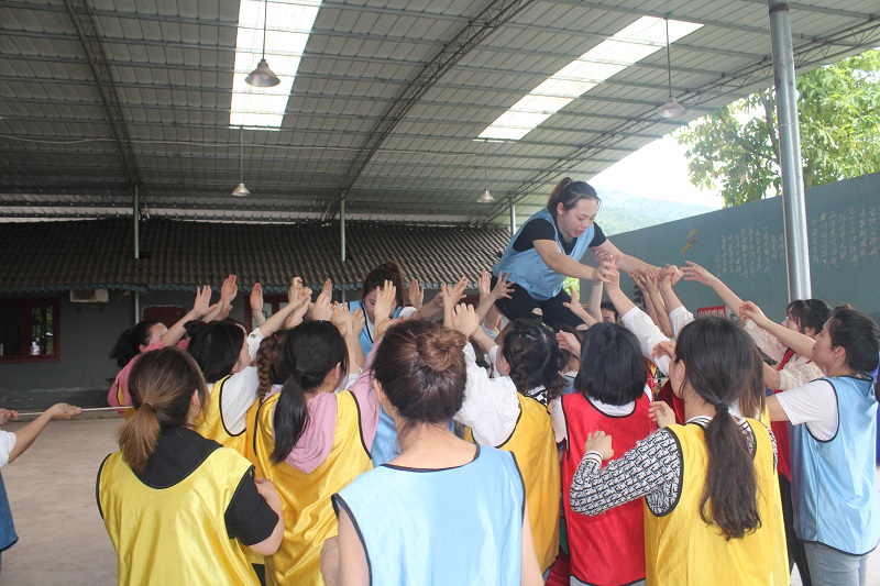 植物医生2022团建活动