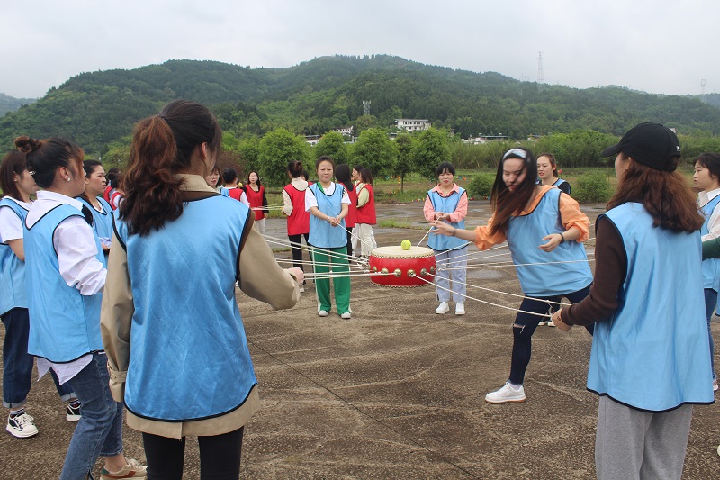 植物医生2022团建活动